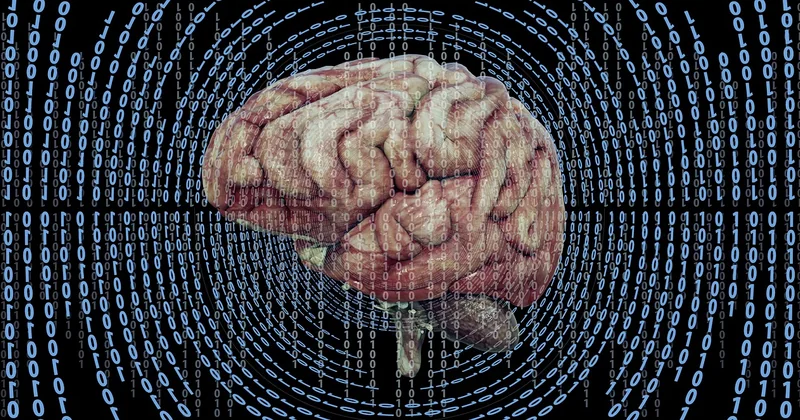 Carence en vitamine D : des symptômes neurologiques ?