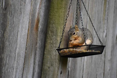 Guide complet 2026 : adoptez une alimentation équilibrée et générale dès aujourd'hui