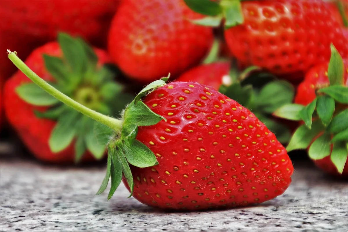 Les fondamentaux de la nutrition saine : ce que j'ai appris sur le terrain