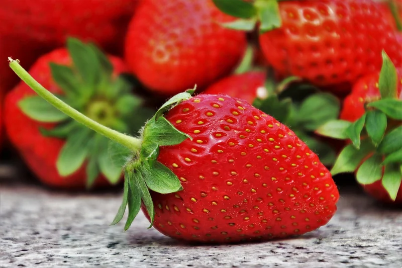Les fondamentaux de la nutrition saine : ce que j'ai appris sur le terrain