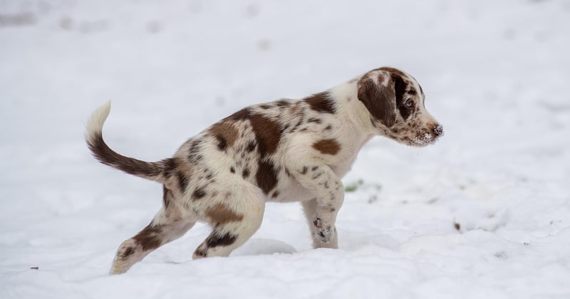 Vacances d'hiver : ce que la coupure de février change dans une semaine ordinaire